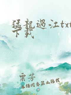猛龙过江txt下载