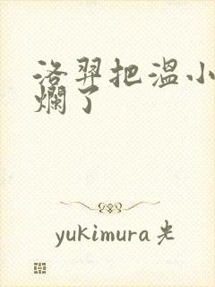 洛羿把温小辉做烂了