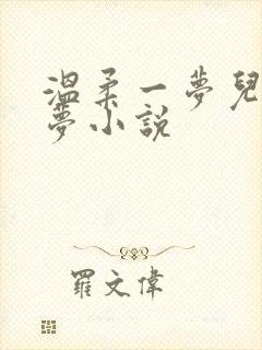 温柔一梦儿媳林梦小说