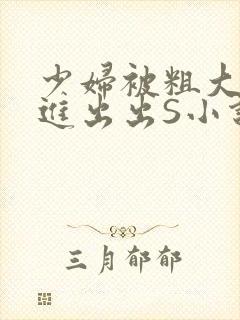 少妇被粗大猛进进出出S小说