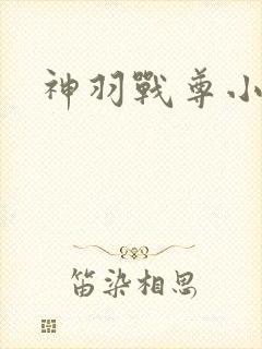 神羽战尊小说