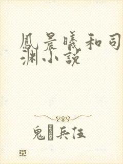 凤晨曦和司鸿颜渊小说