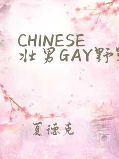 CHINESE壮男GAY野战强迫TUBE