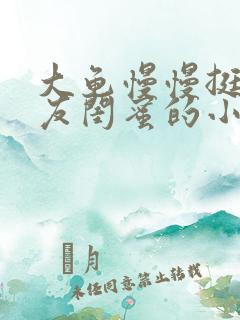 大龟慢慢挺进女友闺蜜的小说