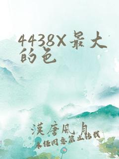 4438X最大的色