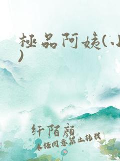 极品阿姨(小说)