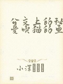 公交上的秘密 爱吃猫的鱼