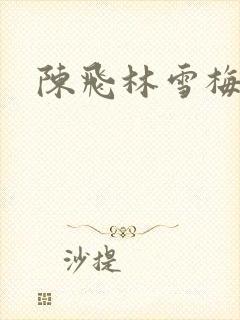 陈飞林雪梅