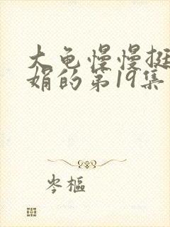 大龟慢慢挺进张娟的第19集