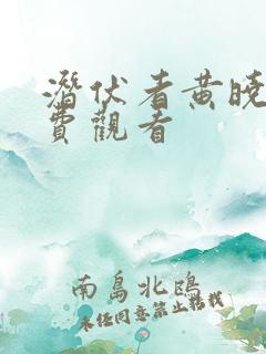 潜伏者黄晓明免费观看