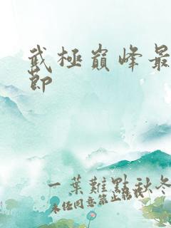 武极巅峰最新章节