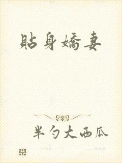 贴身娇妻