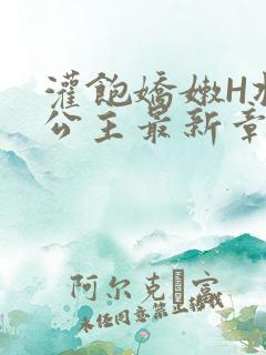 灌饱娇嫩H将军公主最新章节