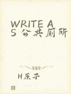 WRITE AS 公共厕所