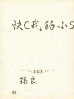 快C我的小SB