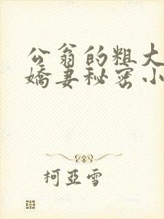 公翁的粗大放进娇妻秘密小说