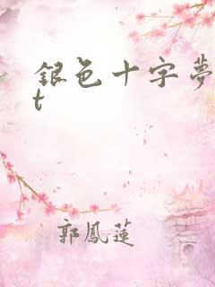 银色十字梦txt
