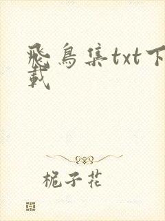 飞鸟集txt下载