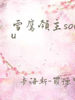 雪鹰领主sodu