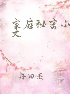 家庭秘密小说全文