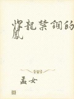 悍龙禁锢的小野凤