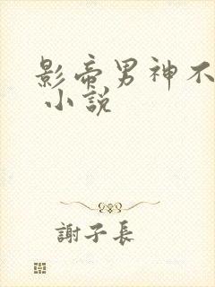 影帝男神不节制 小说