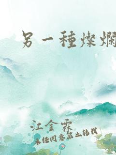 另一种灿烂生活