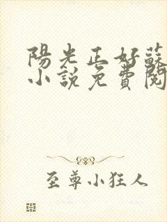 阳光正好苏玥玥小说免费阅读