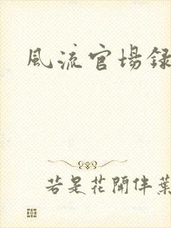 风流官场录