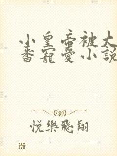 小皇帝被大臣轮番宠爱小说