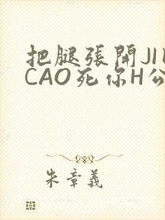 把腿张开JI巴CAO死你H公园