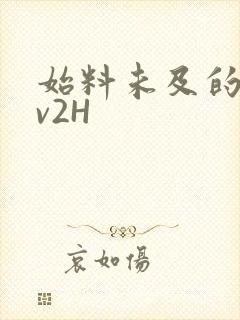 始料未及的软1v2H