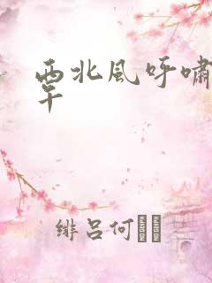 西北风呼啸的中午