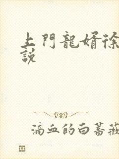 上门龙婿徐阳小说