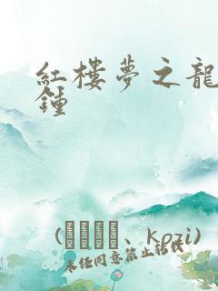 红楼梦之龙套秦钟