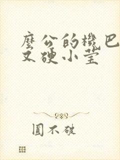 么公的机巴又粗又硬小莹