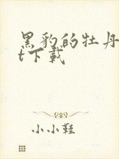 黑豹的牡丹txt下载