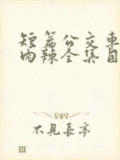 短篇公交车高h肉辣全集目录