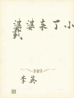 婆婆来了小说下载