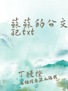 苏苏的公交车日记txt