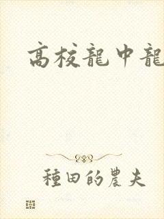 高校龙中龙全集