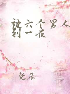 被六个男人躁J到一夜