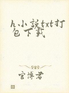 h小说txt打包下载