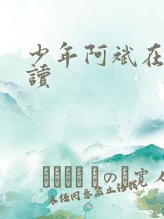 少年阿斌在线阅读