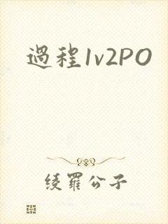 过程1v2PO
