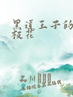 黑道王子的恶魔校花