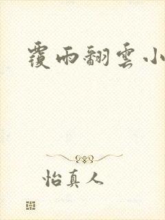 覆雨翻云小说