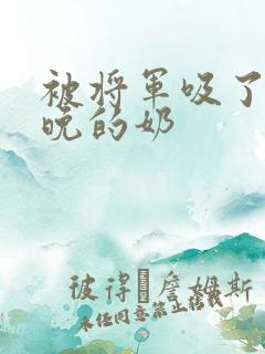 被将军吸了一整晚的奶