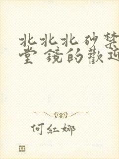 北北北砂禁慢天堂 镜的欢迎会