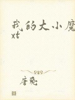 我的大小魔女txt